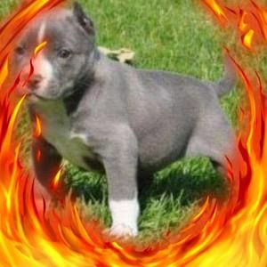 Meet your Posher, Bryan